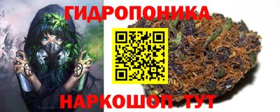 шишки Наро-Фоминск